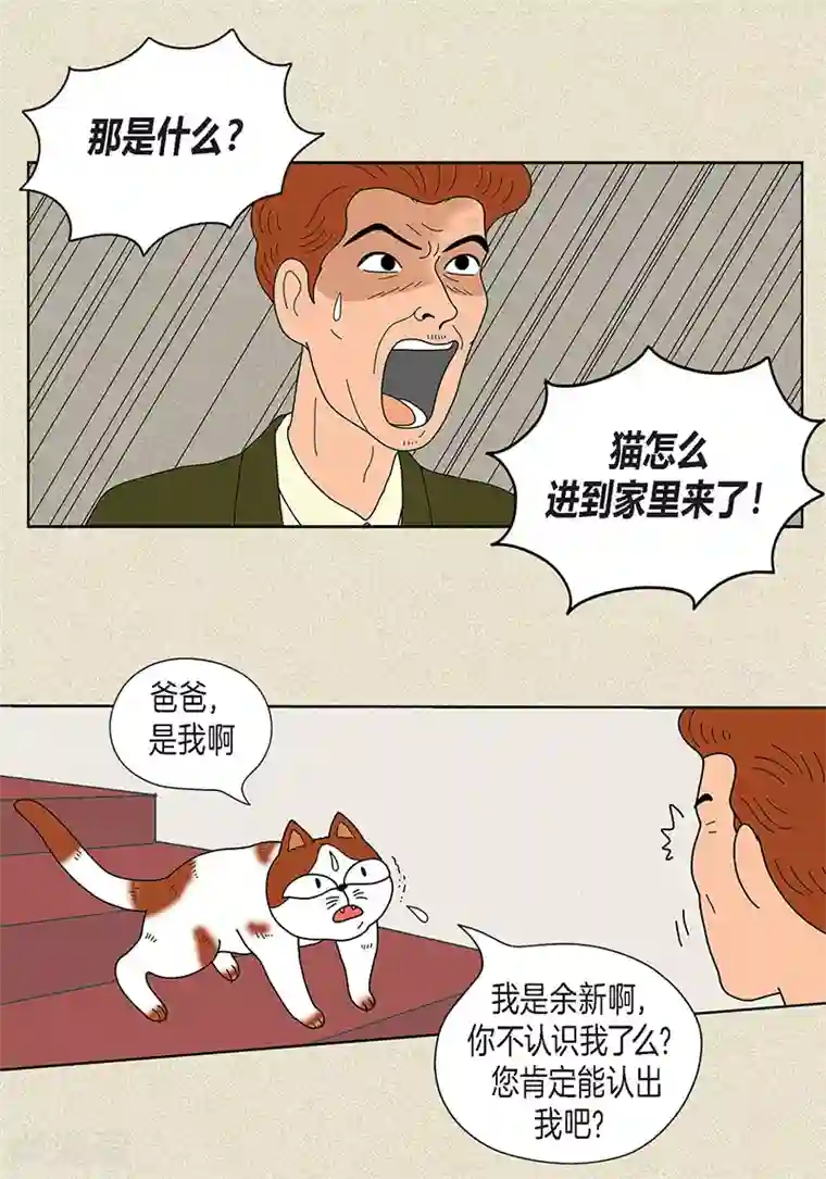 猫王子第22话 扑到你的怀里