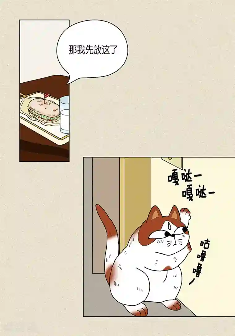 猫王子第22话 扑到你的怀里