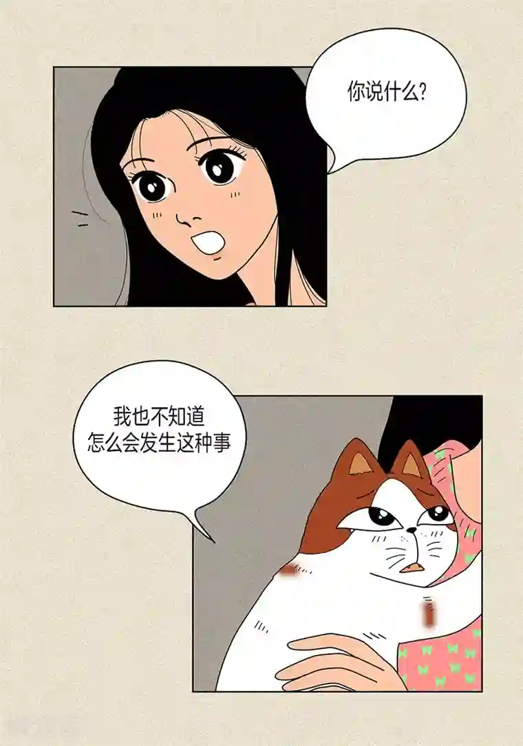 猫王子第22话 扑到你的怀里