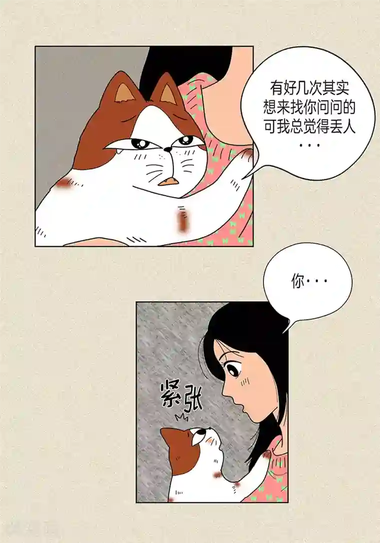 猫王子第22话 扑到你的怀里
