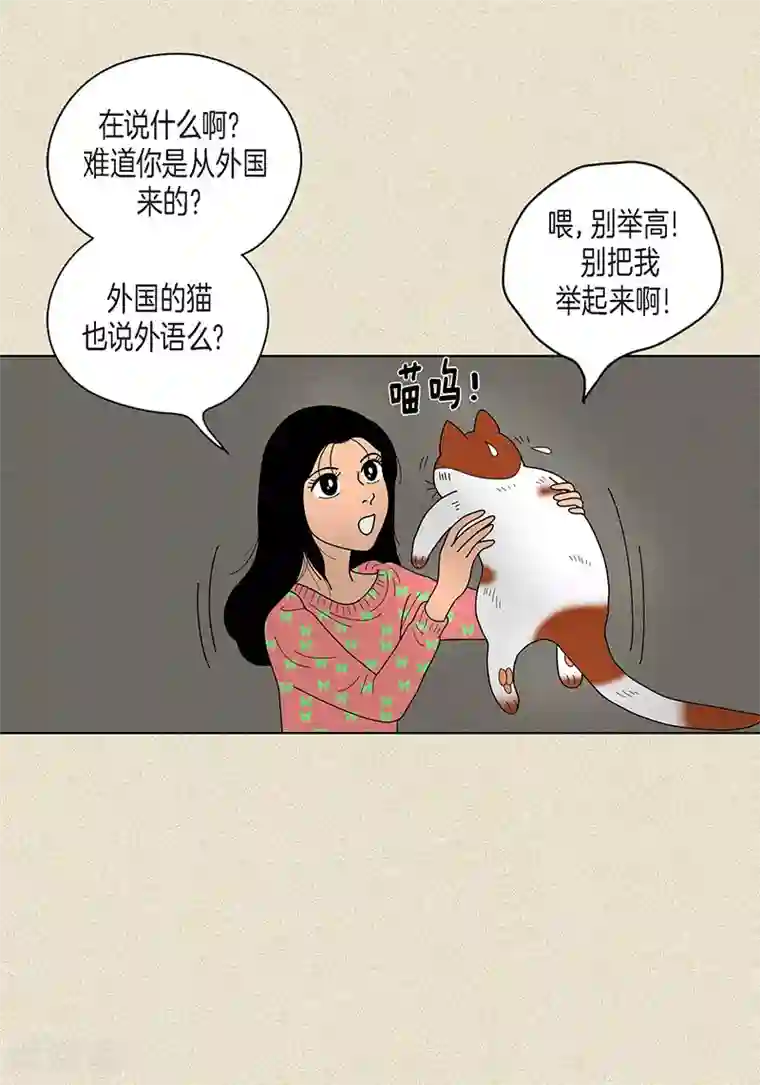 猫王子第22话 扑到你的怀里