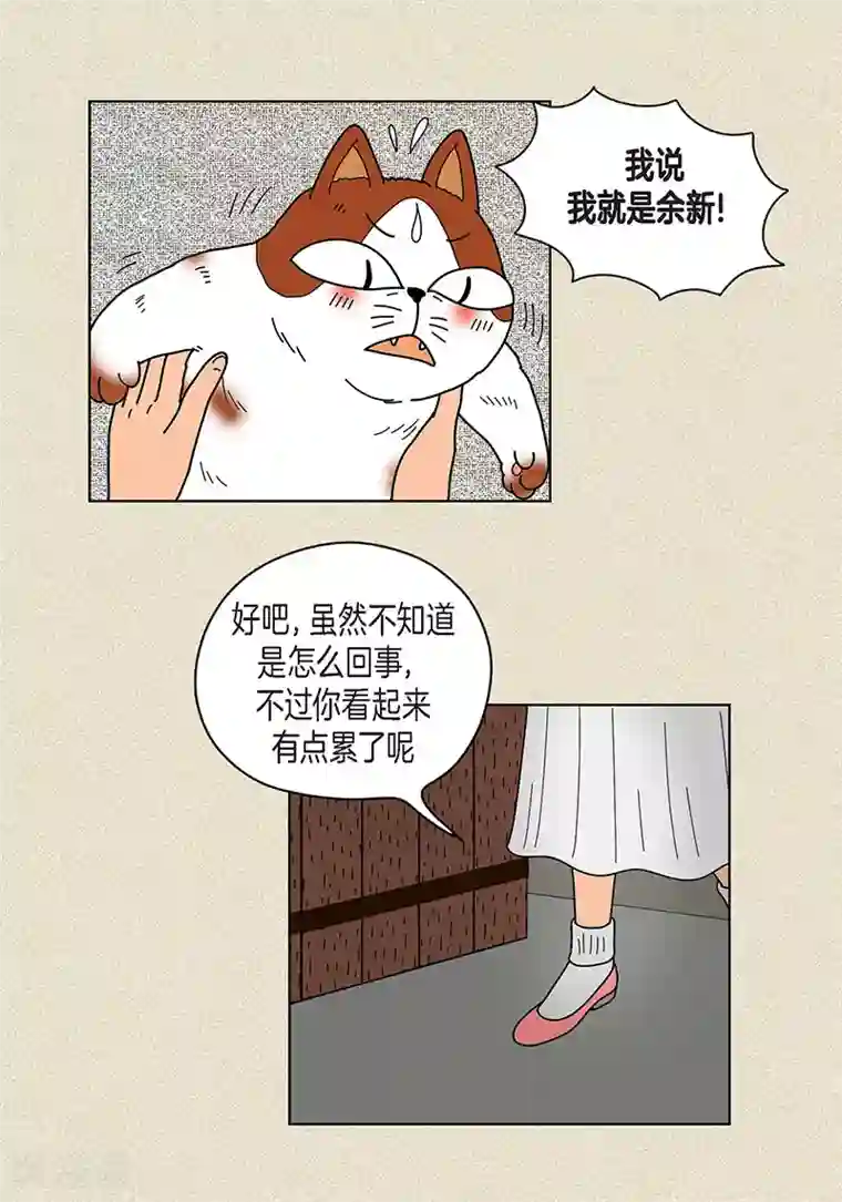 猫王子第22话 扑到你的怀里