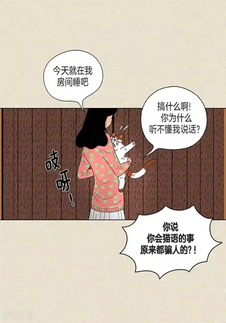 猫王子第22话 扑到你的怀里