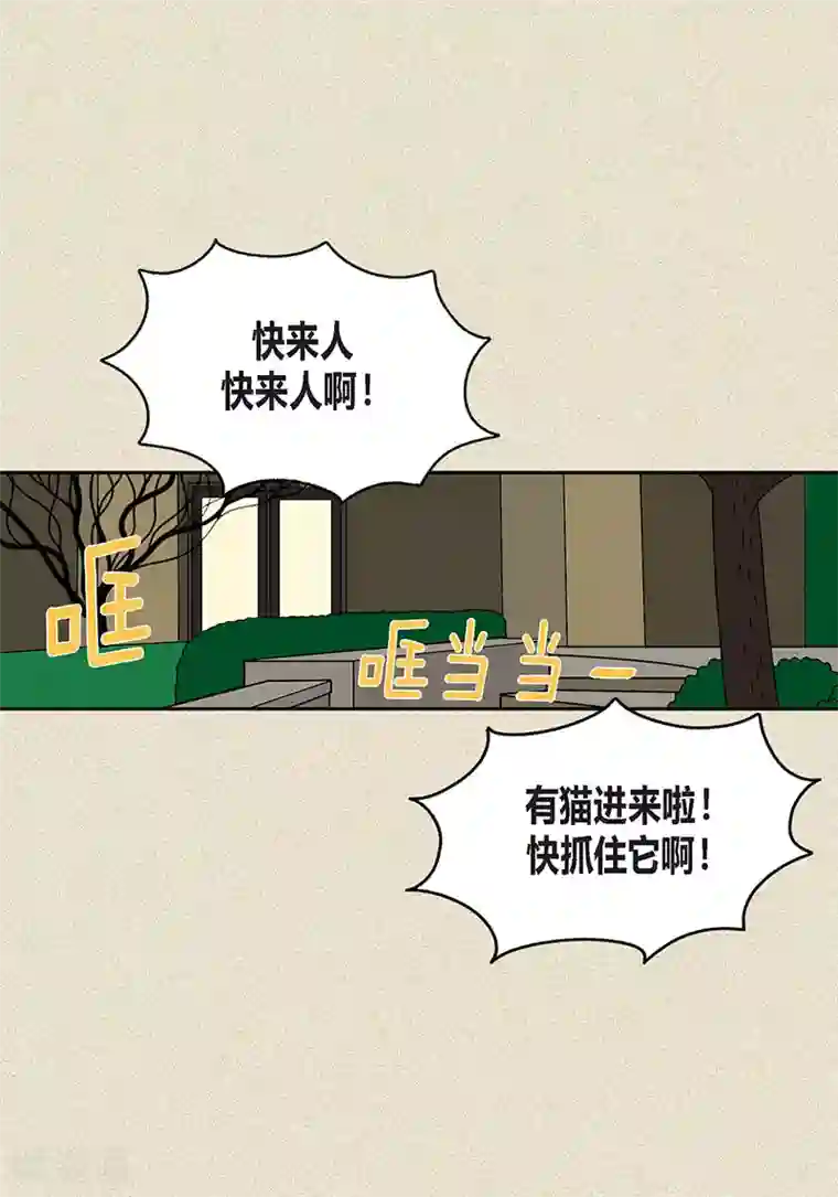 猫王子第22话 扑到你的怀里