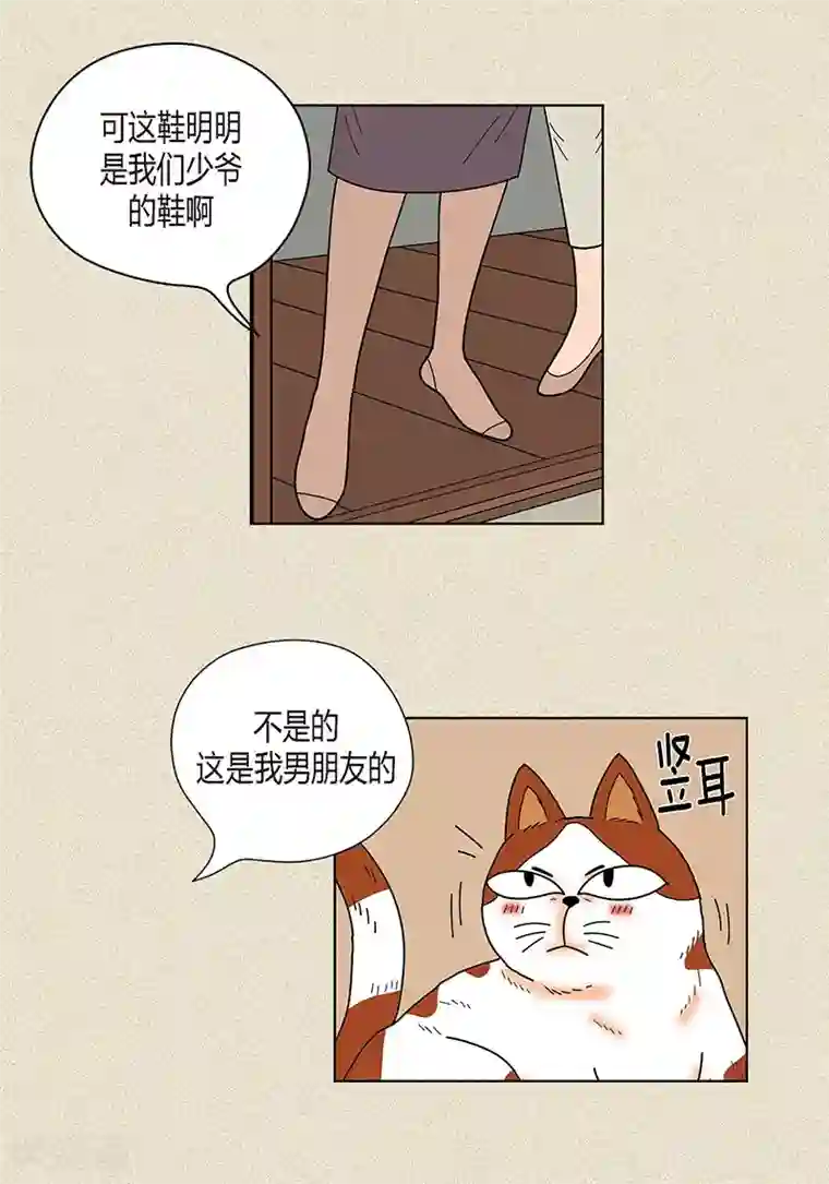 猫王子第28话 壁咚