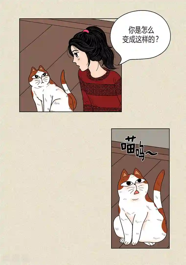 猫王子第29话 调查