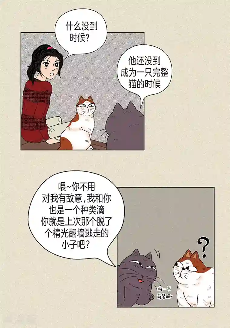 猫王子第29话 调查