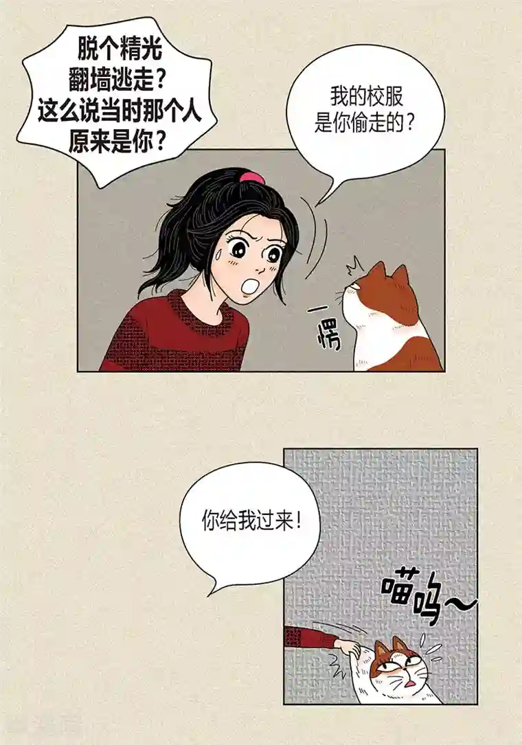 猫王子第29话 调查