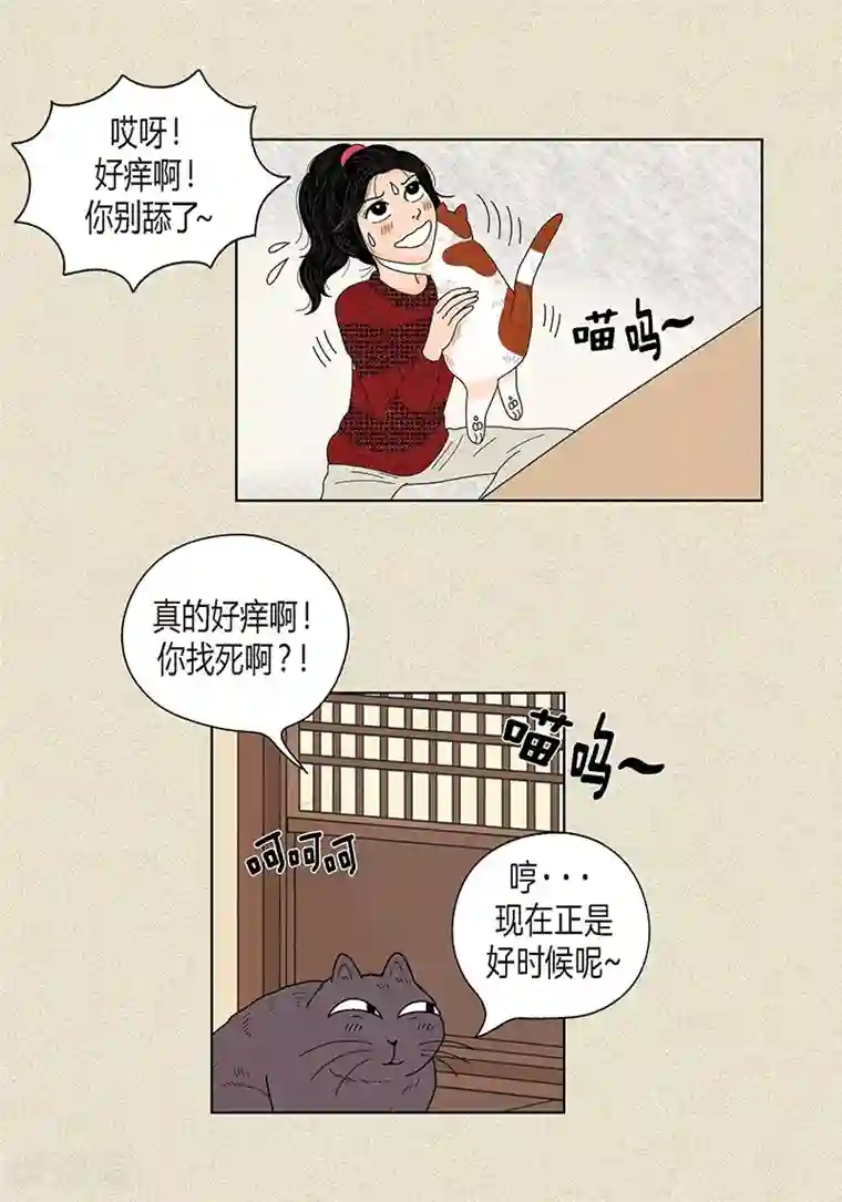 猫王子第29话 调查