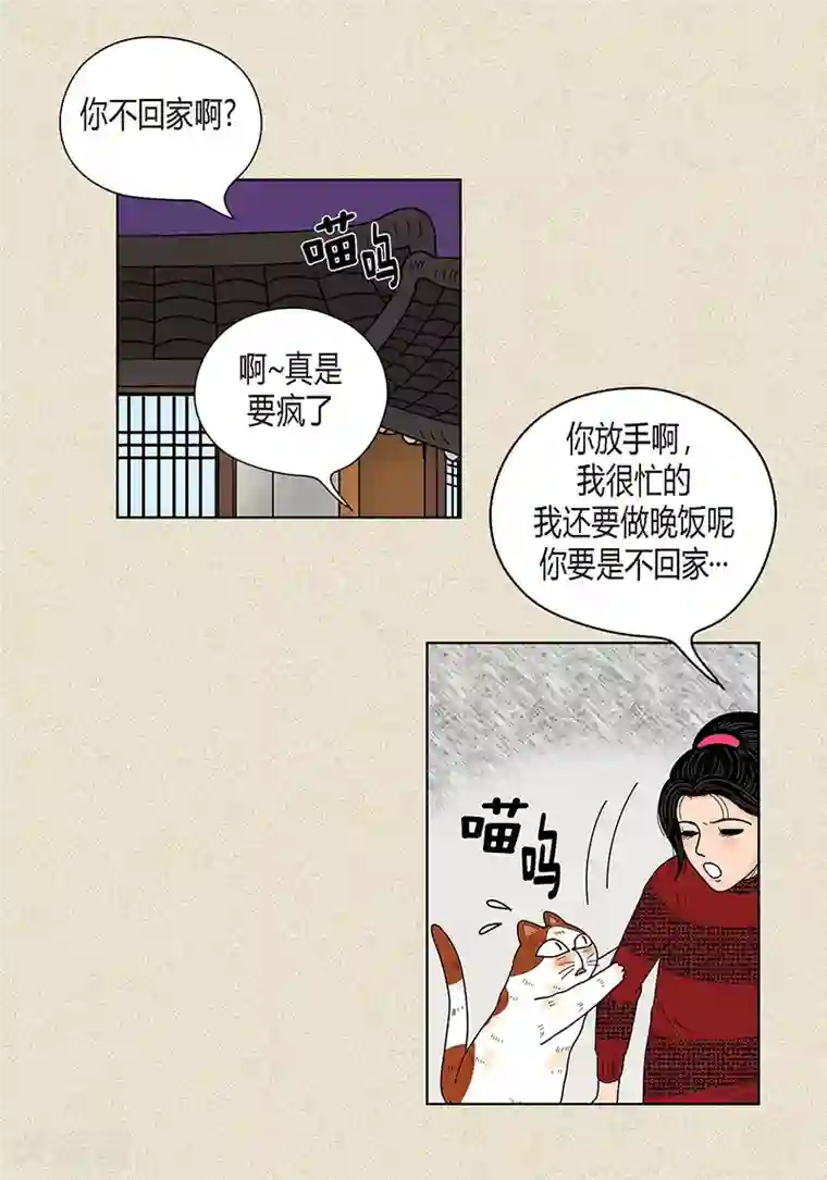 猫王子第29话 调查