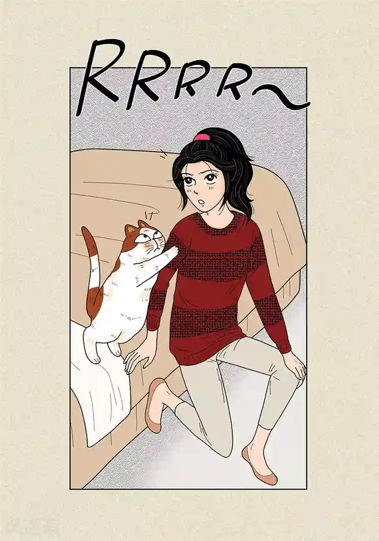 猫王子第29话 调查