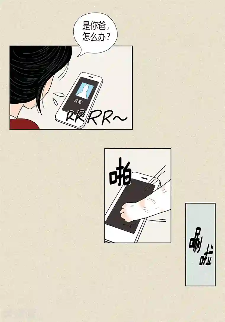 猫王子第29话 调查