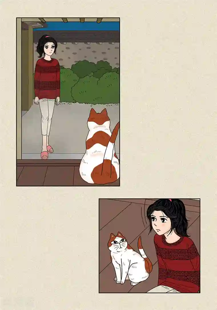 猫王子第29话 调查