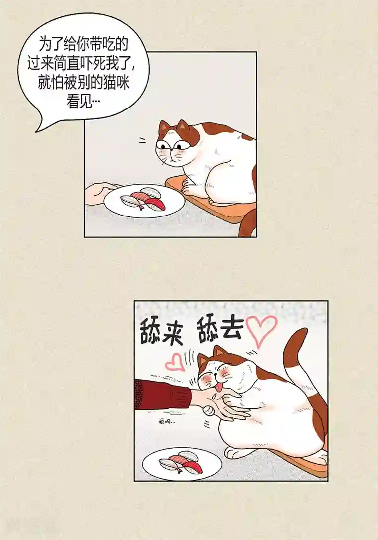 猫王子第30话 粘人的猫