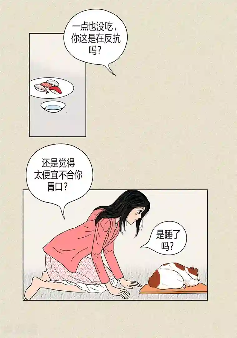 猫王子第30话 粘人的猫