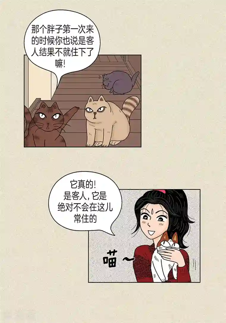 猫王子第30话 粘人的猫