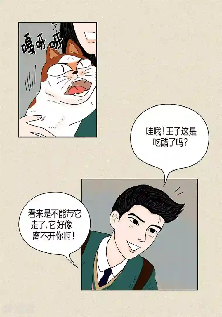 猫王子第32话 爸爸来了