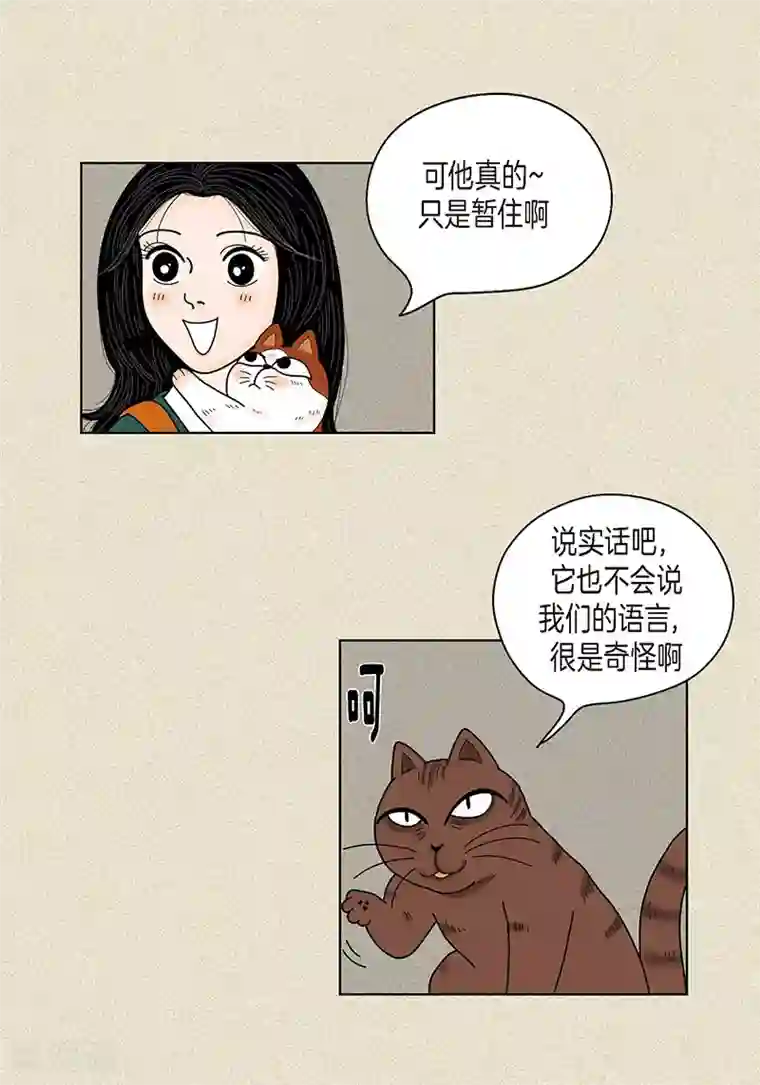 猫王子第32话 爸爸来了