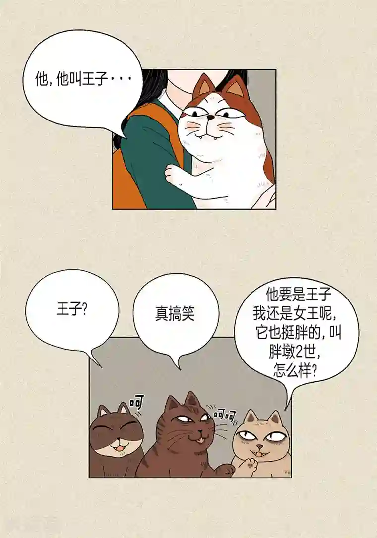 猫王子第32话 爸爸来了