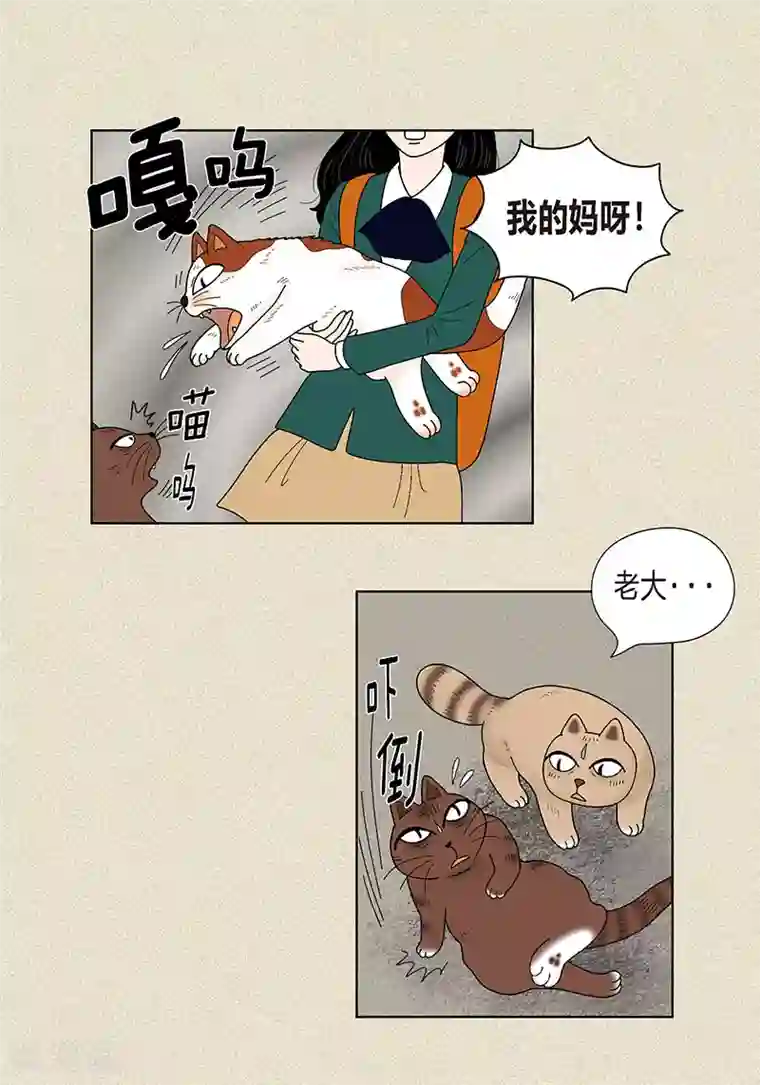 猫王子第32话 爸爸来了