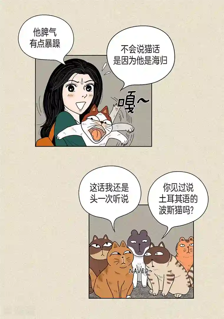 猫王子第32话 爸爸来了