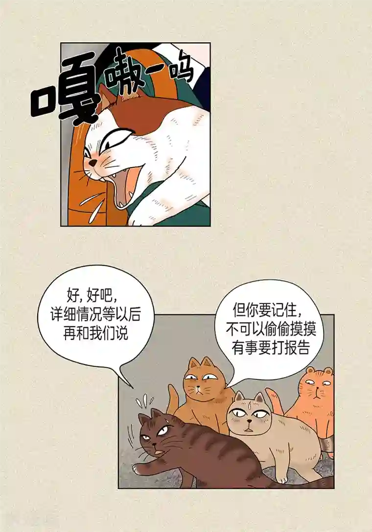猫王子第32话 爸爸来了