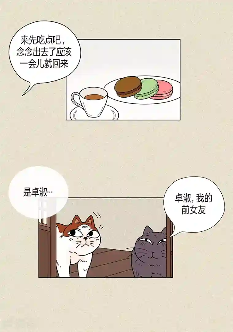猫王子第33话 我要和她结婚