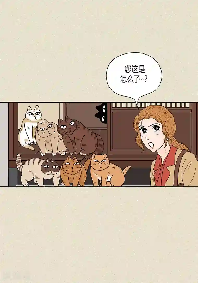 猫王子第33话 我要和她结婚