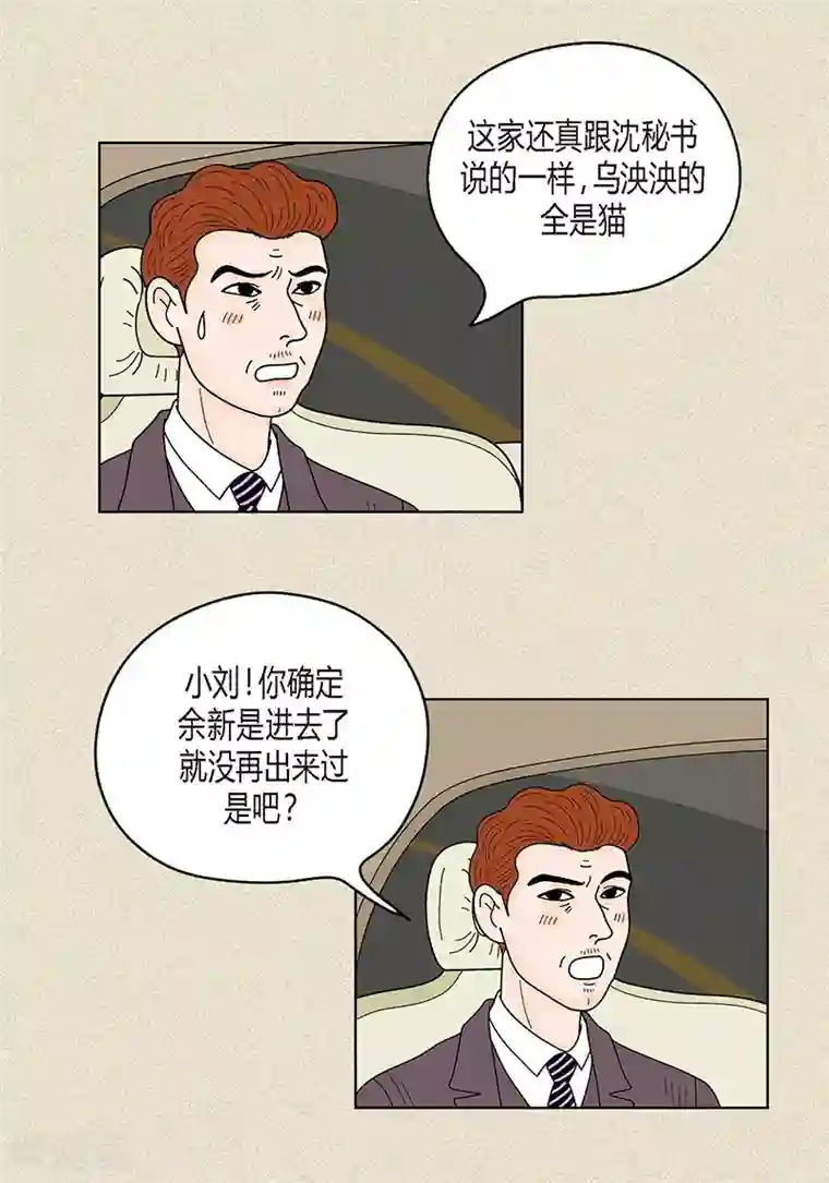 猫王子第33话 我要和她结婚
