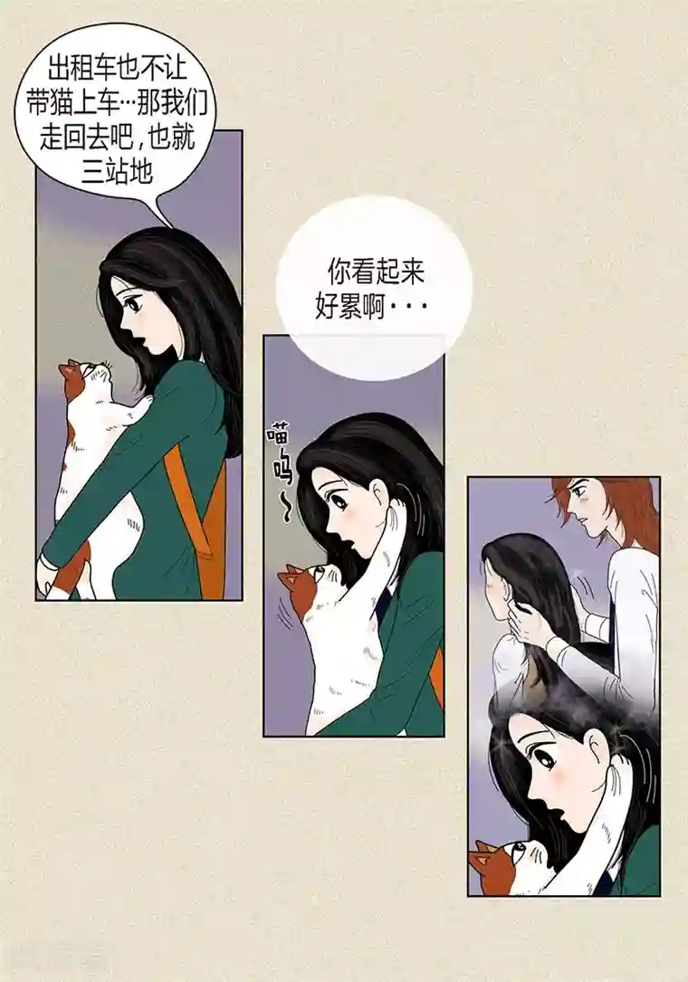 猫王子第36话 神秘人