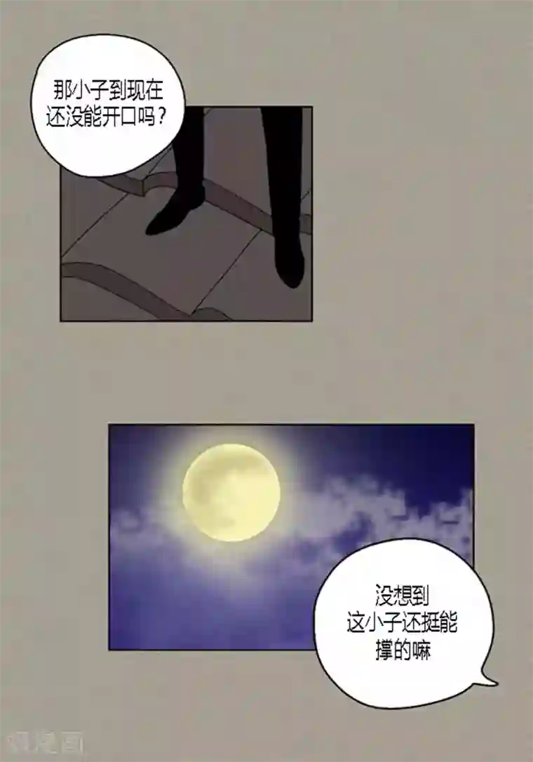 猫王子第37话 习天的执着