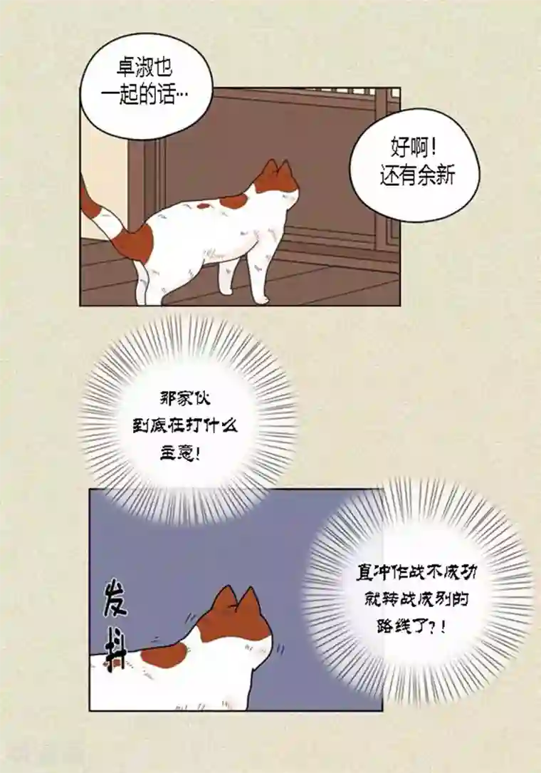 猫王子第37话 习天的执着