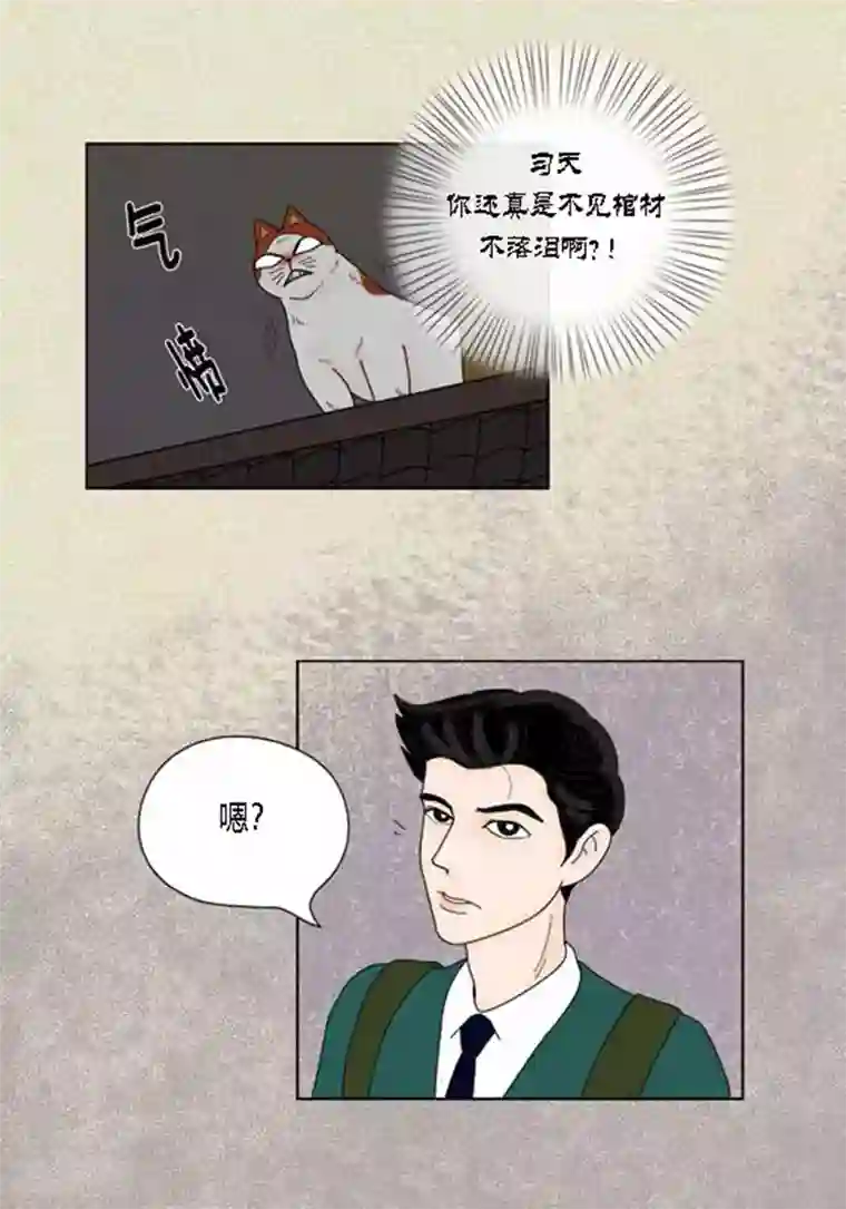 猫王子第37话 习天的执着