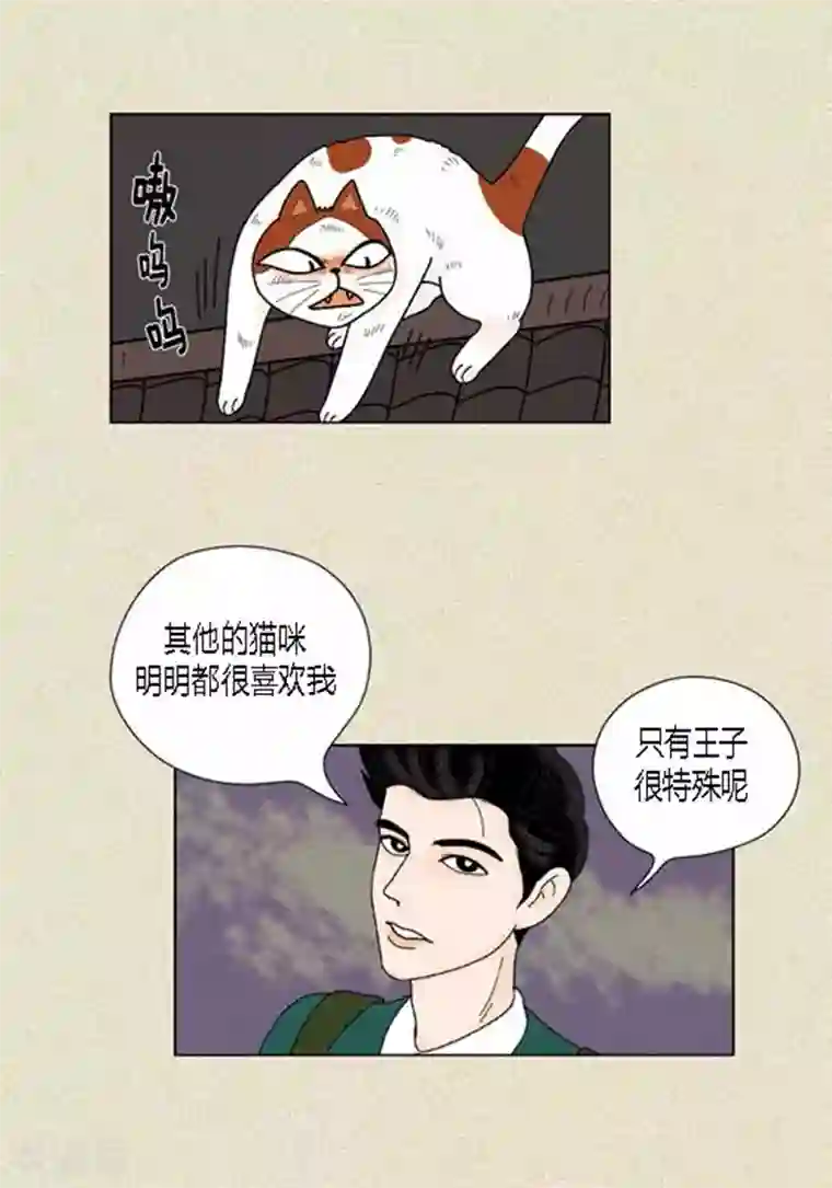 猫王子第37话 习天的执着