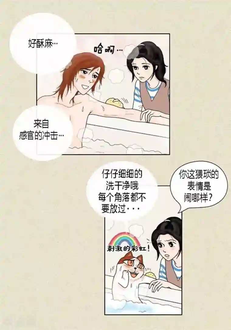 猫王子第37话 习天的执着