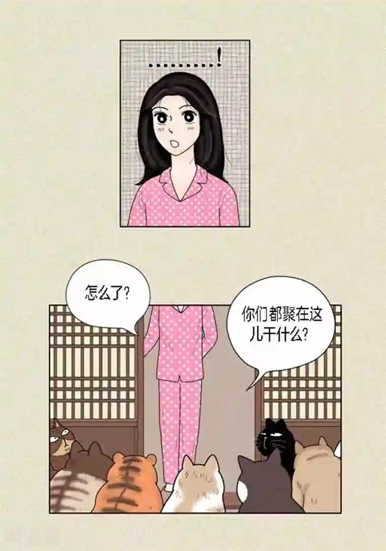 猫王子第37话 习天的执着