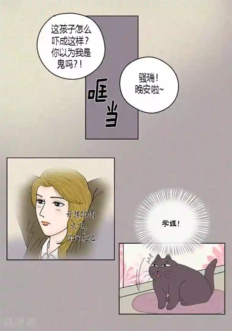 猫王子第37话 习天的执着