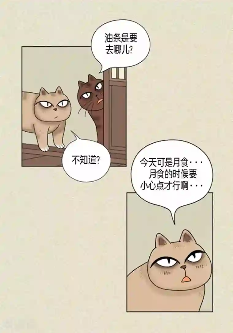 猫王子第37话 习天的执着