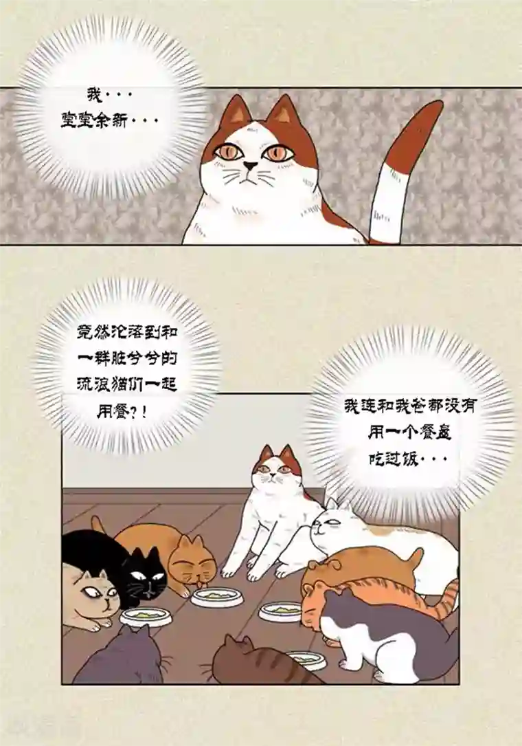 猫王子第37话 习天的执着