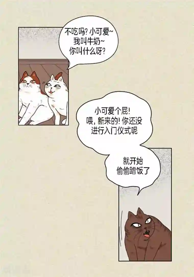 猫王子第37话 习天的执着