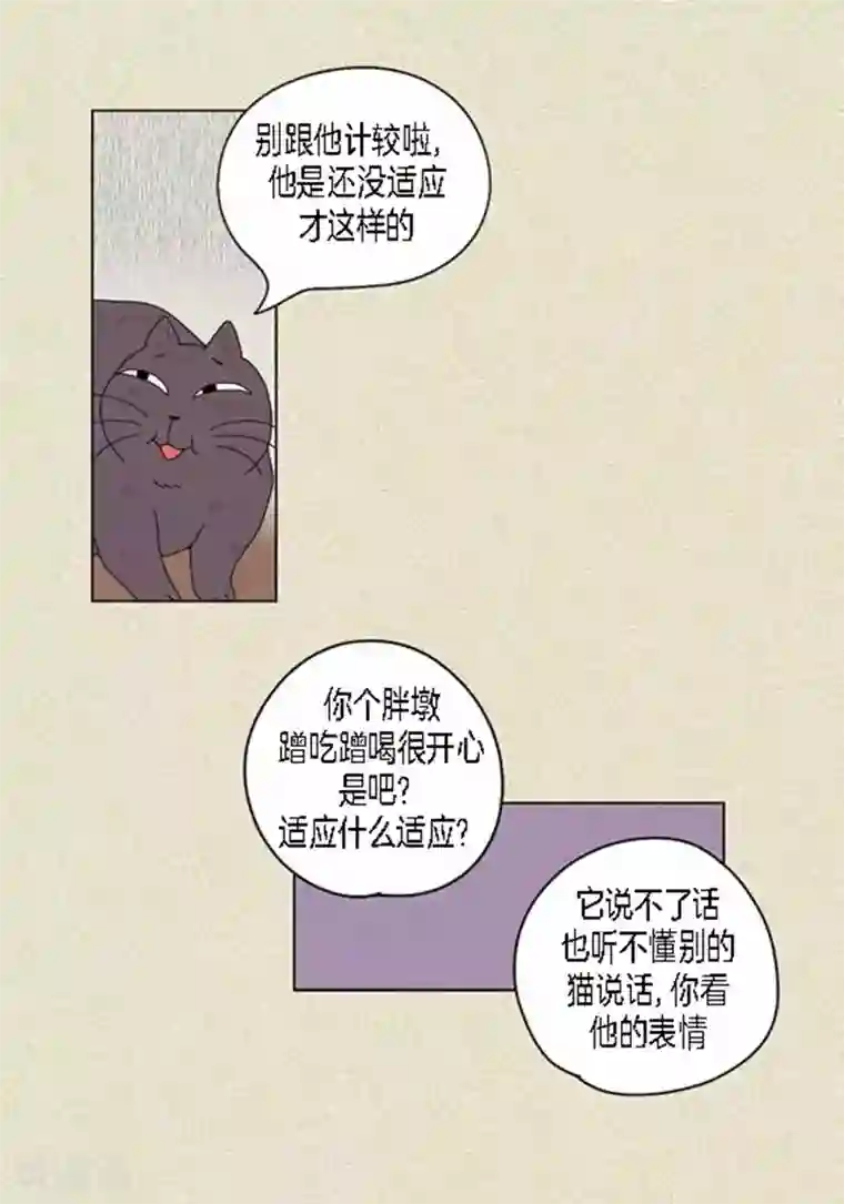 猫王子第37话 习天的执着