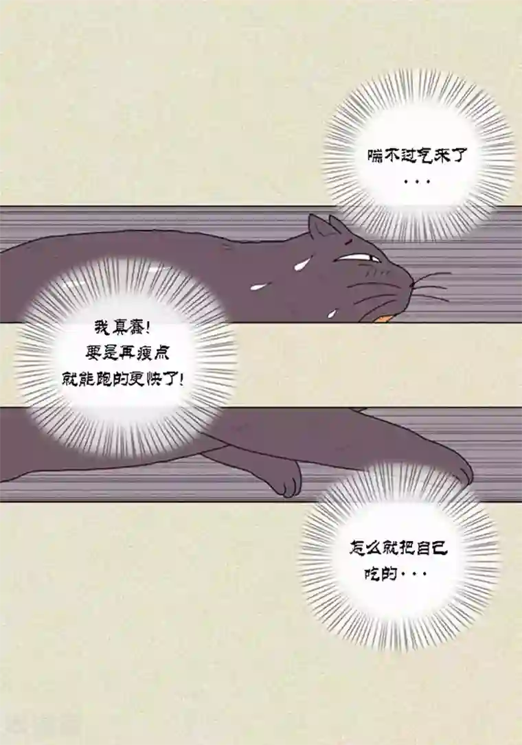 猫王子第38话 油条危险