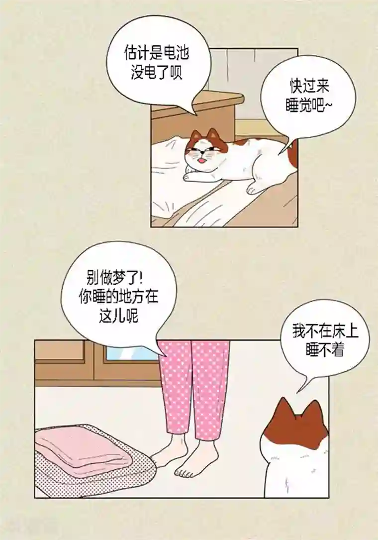 猫王子第38话 油条危险