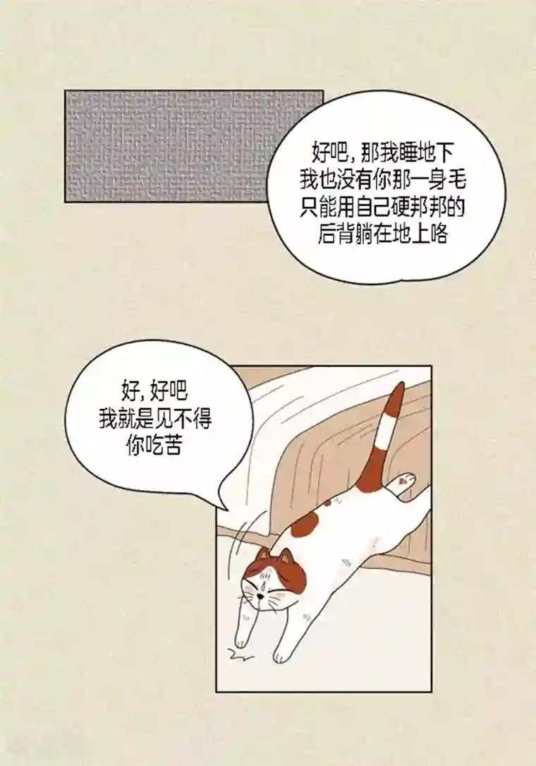 猫王子第38话 油条危险