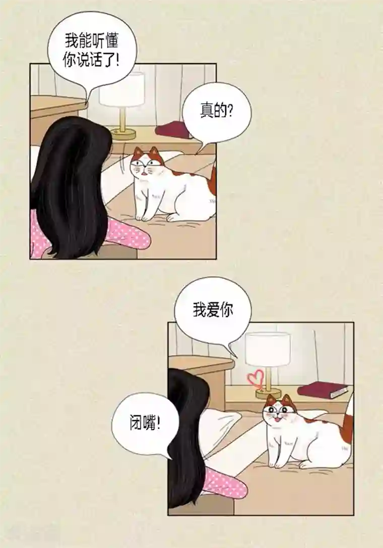 猫王子第38话 油条危险