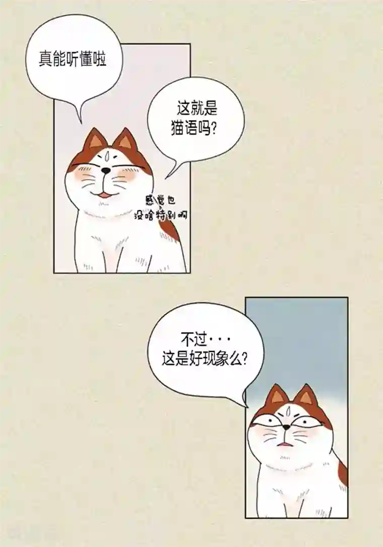 猫王子第38话 油条危险