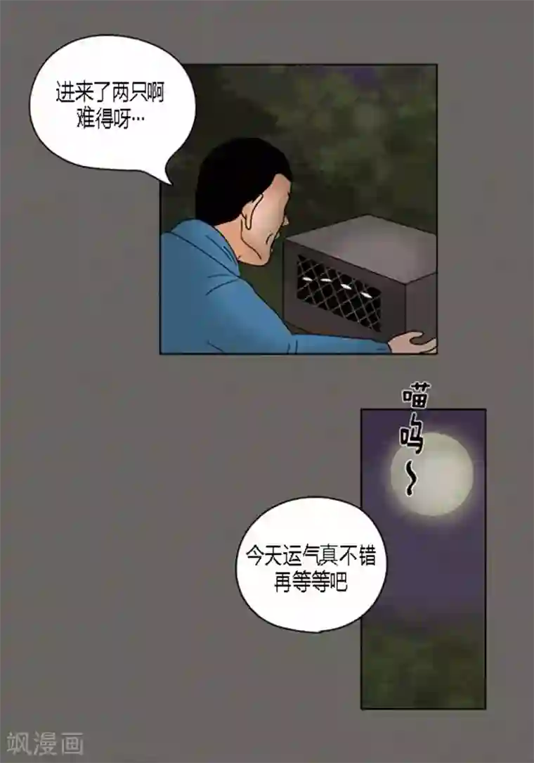 猫王子第38话 油条危险