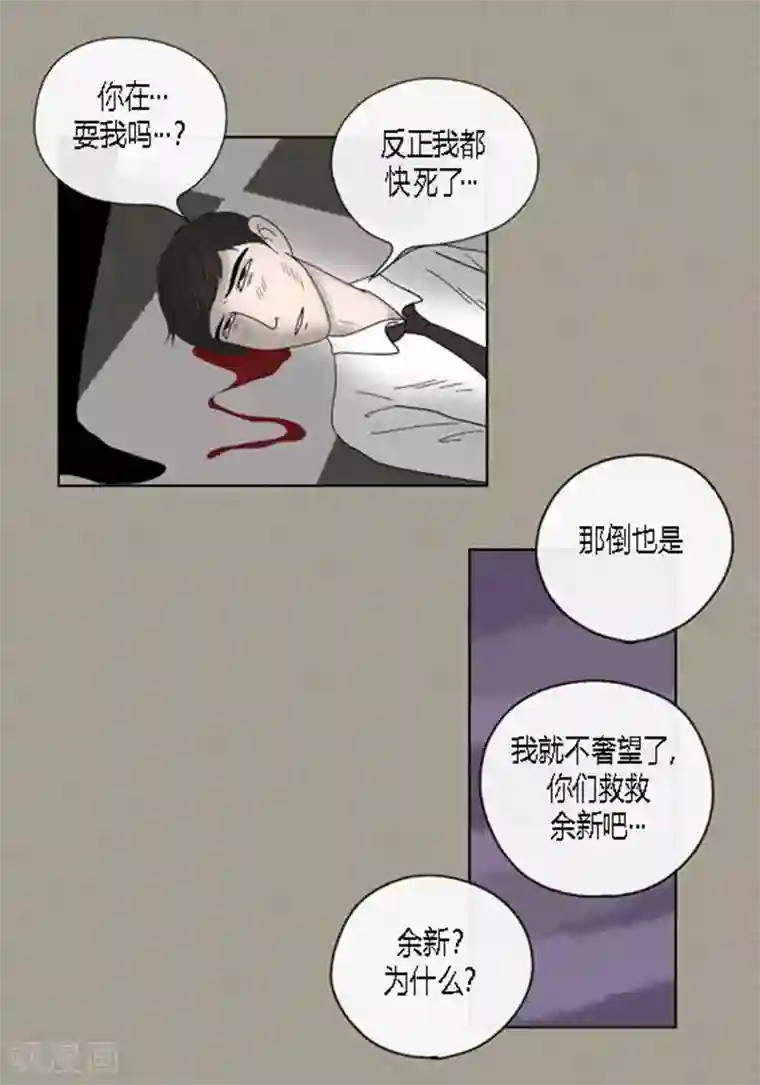 猫王子第40话 心系卓淑