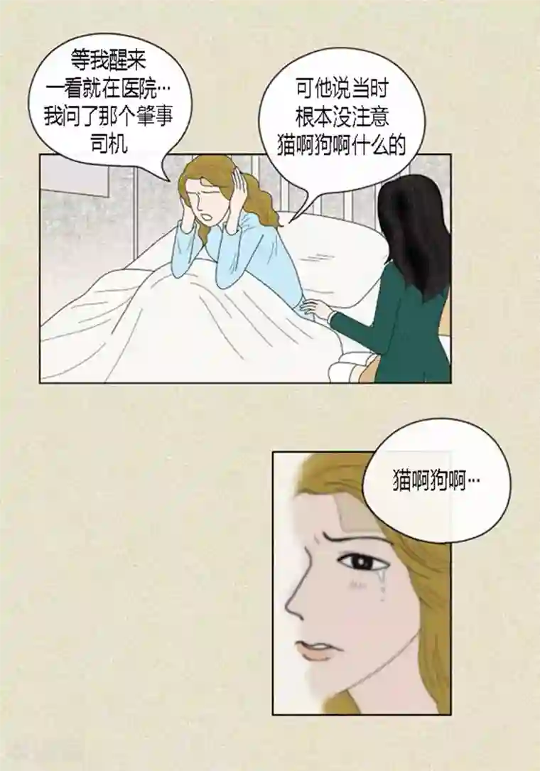 猫王子第41话 活在当下