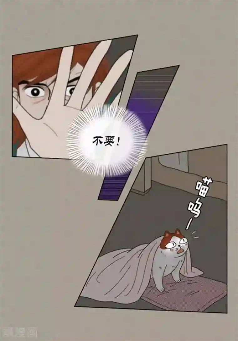 猫王子第42话 被发现